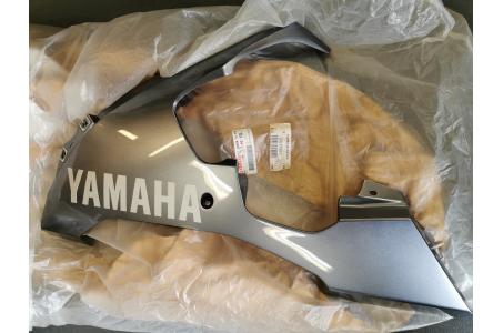 CARENAGE R1 2004-2005