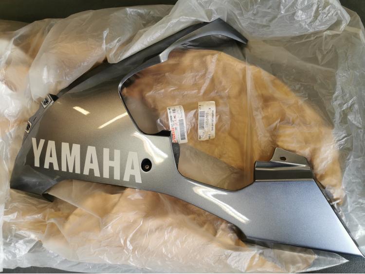 CARENAGE R1 2004-2005